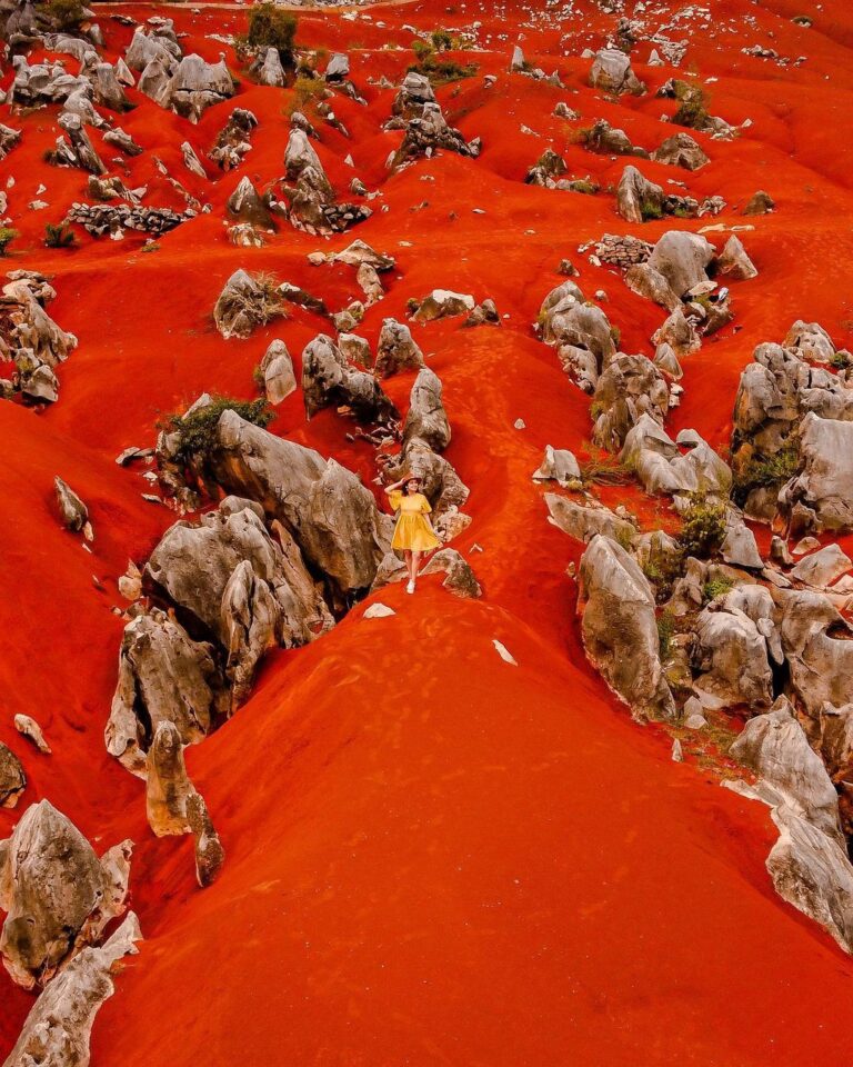 Dunas Rojas Pacula Paseo Por Hidalgo Paseo Por Hidalgo