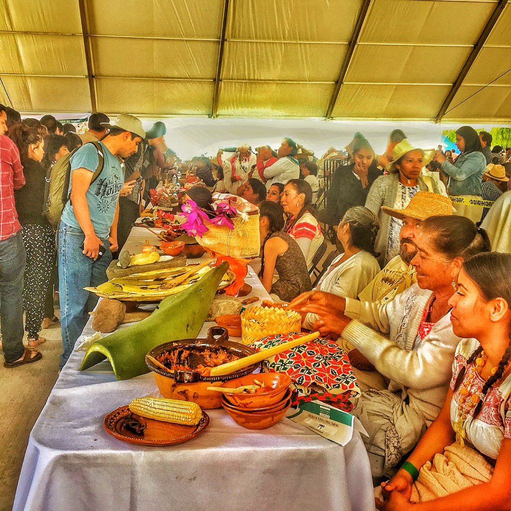 muestras gastronomica santiago anaya