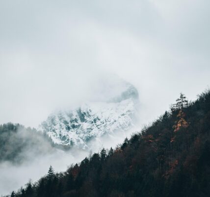Rutas de Neblina y Piedra: Un Viaje por los Pueblos Mágicos de Hidalgo